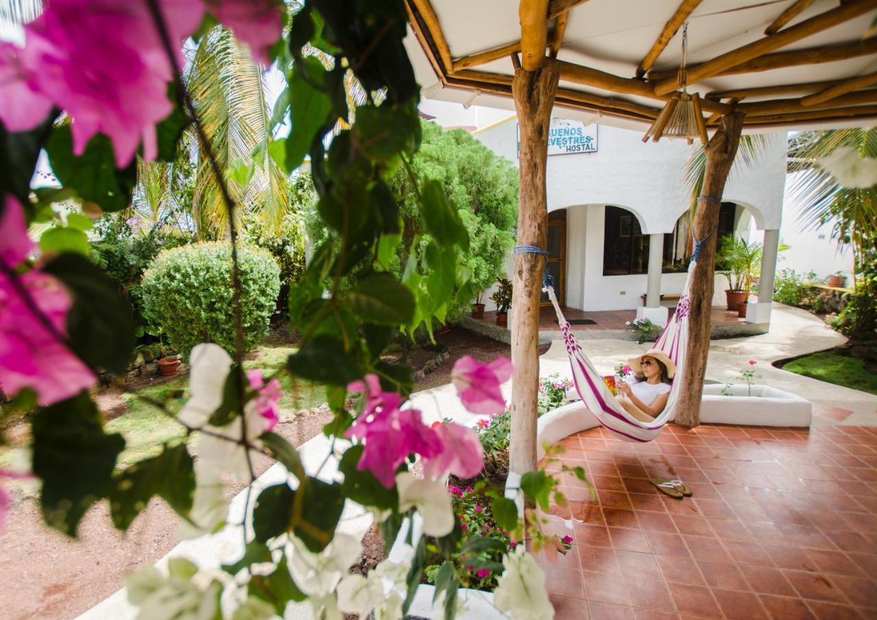 Hostal Suenos Silvestres Puerto Ayora  Bagian luar foto